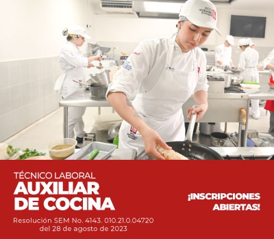 Programa Auxiliar en Cocina