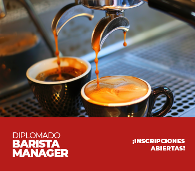 Diplomado en Barista Manager 